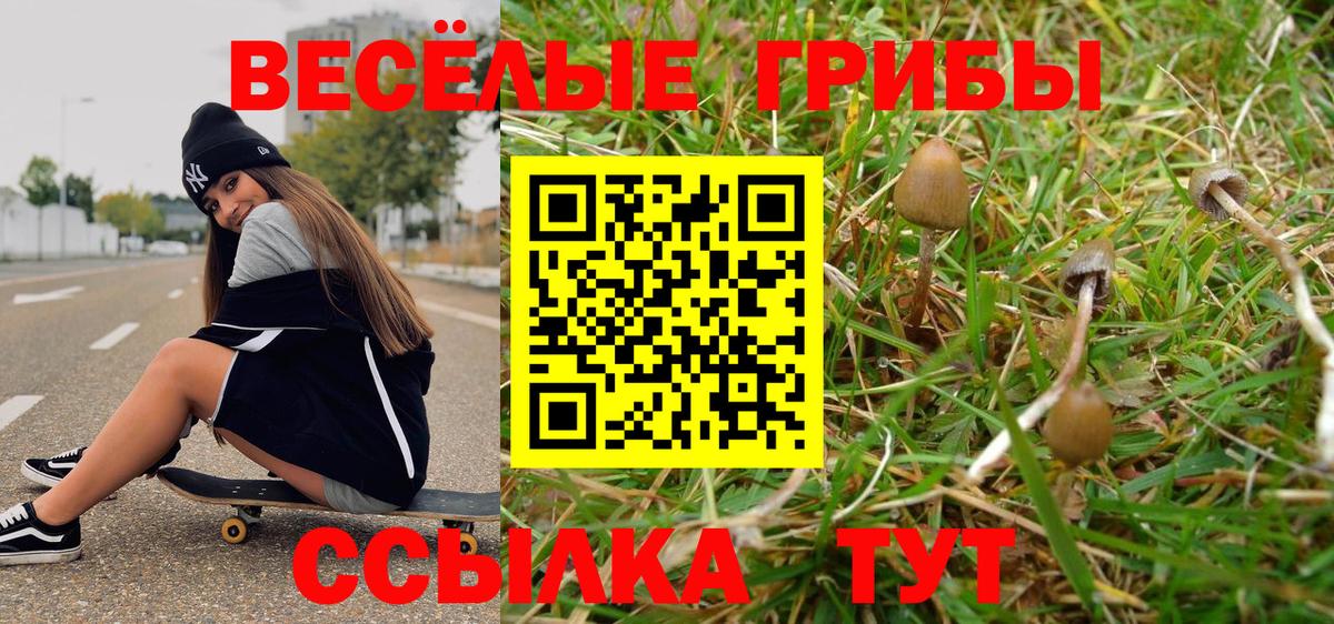 Галлюциногенные грибы Cubensis Нижнекамск
